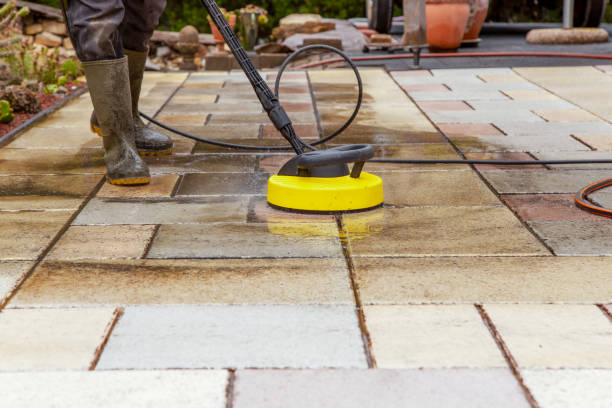 Best Spring Cleaning  in Tice, FL